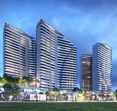 Tư Vấn Luật Đất Đai